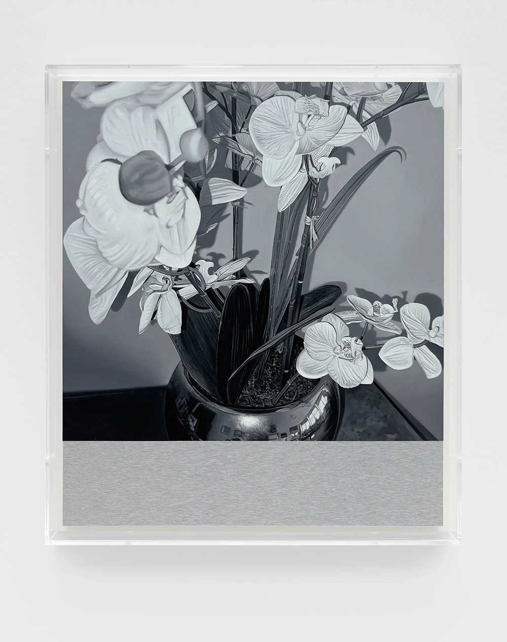 James White, H.P. 9, 2024