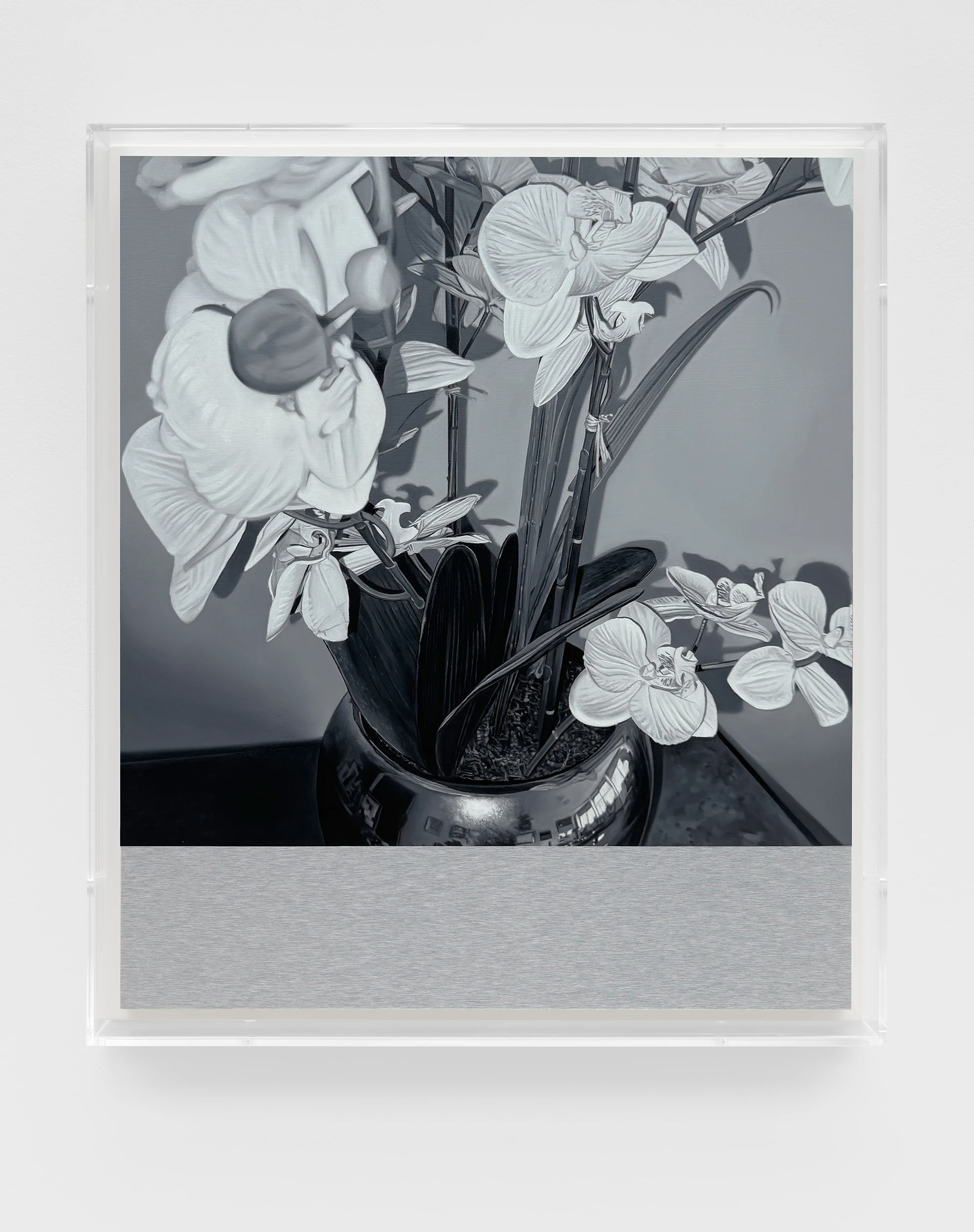 James White, H.P. 9, 2024