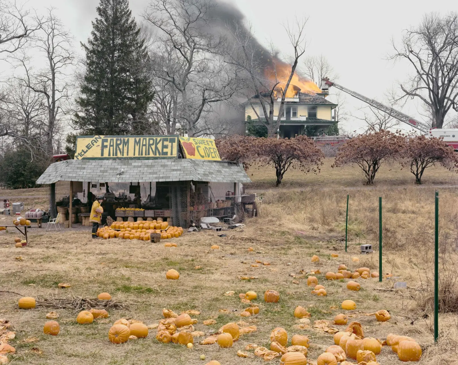 Joel Sternfeld, McLean, Virginia, December 1978, 1978