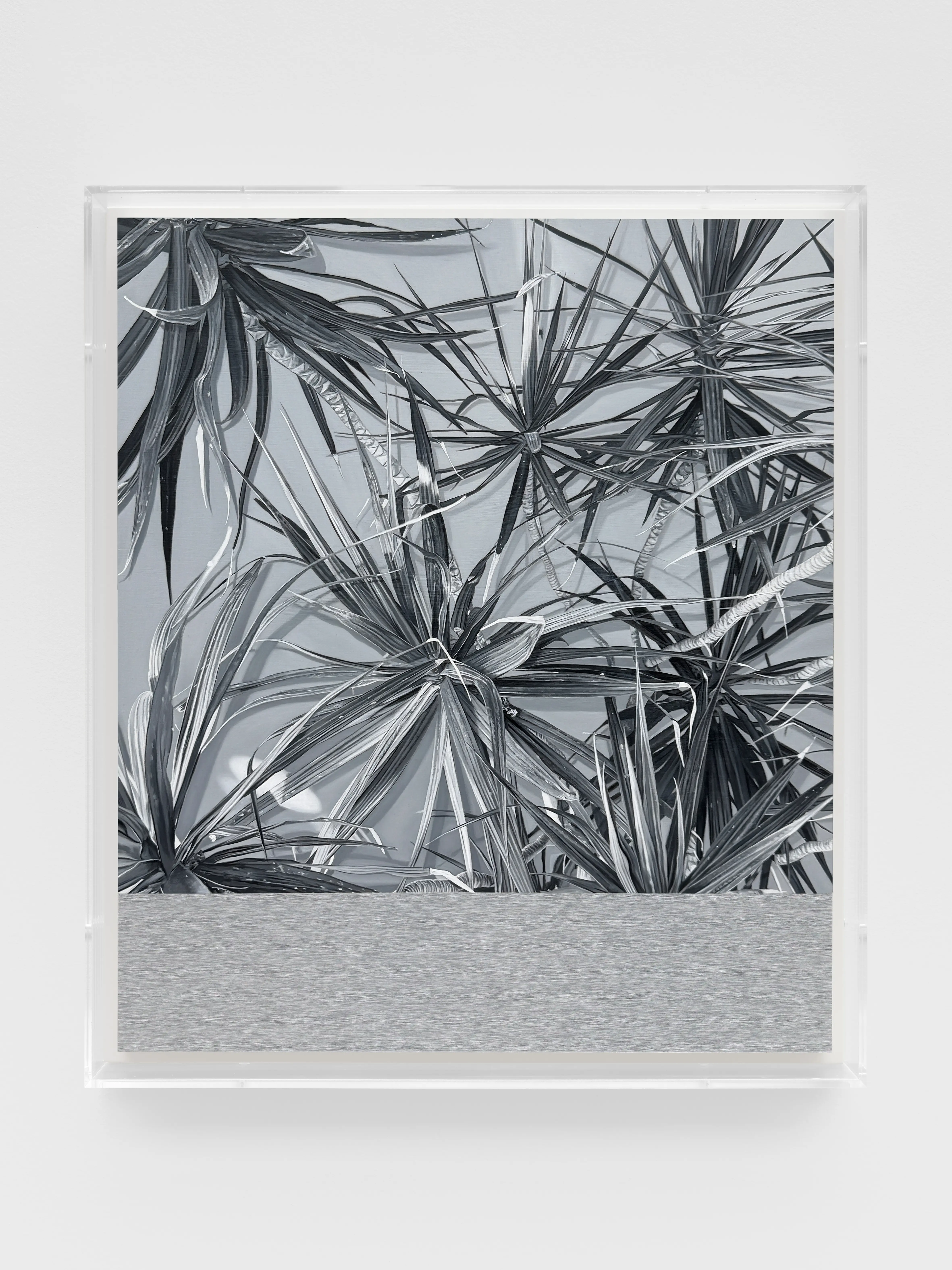 James White, H.P. 13, 2024