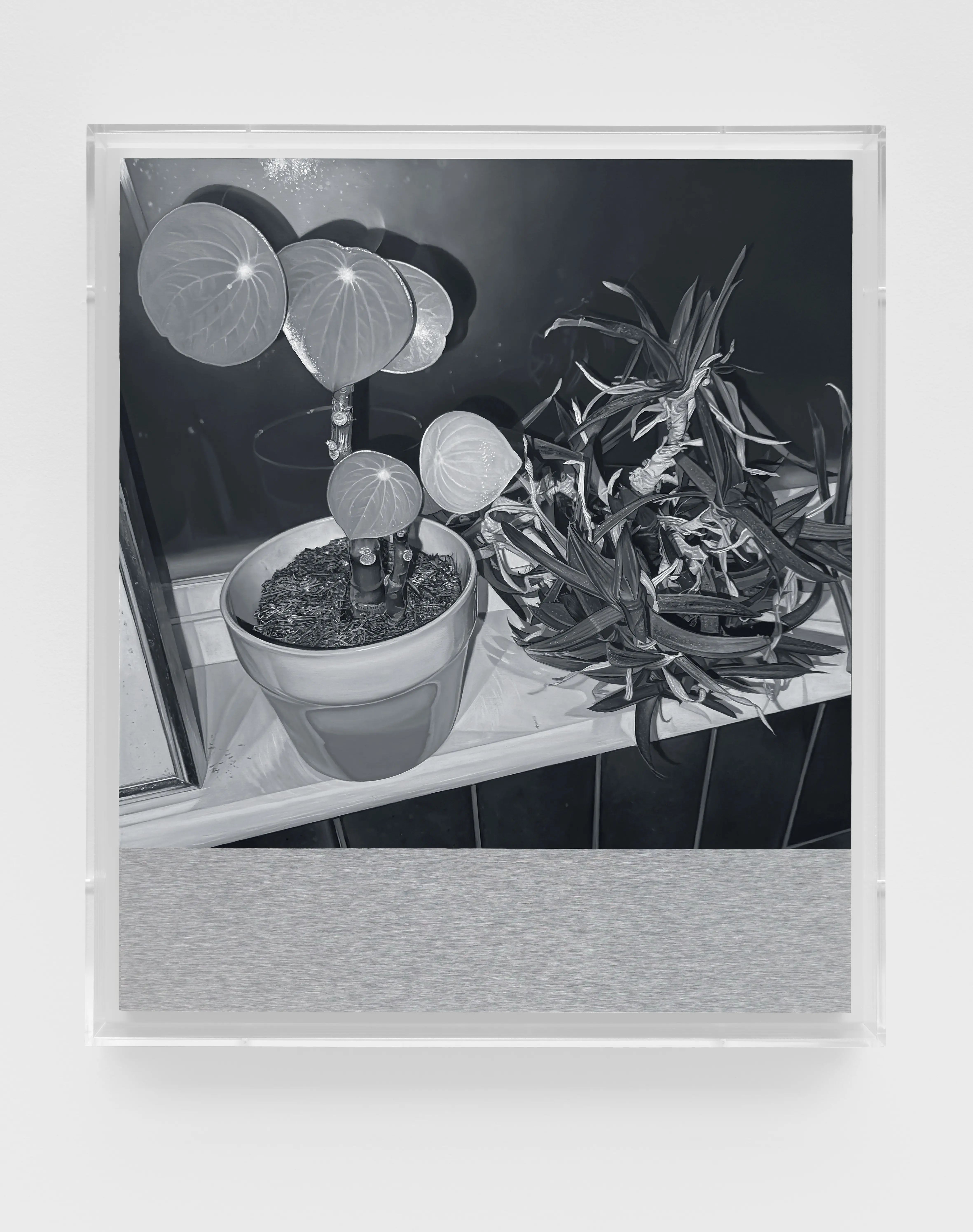 James White, H.P. 17, 2024