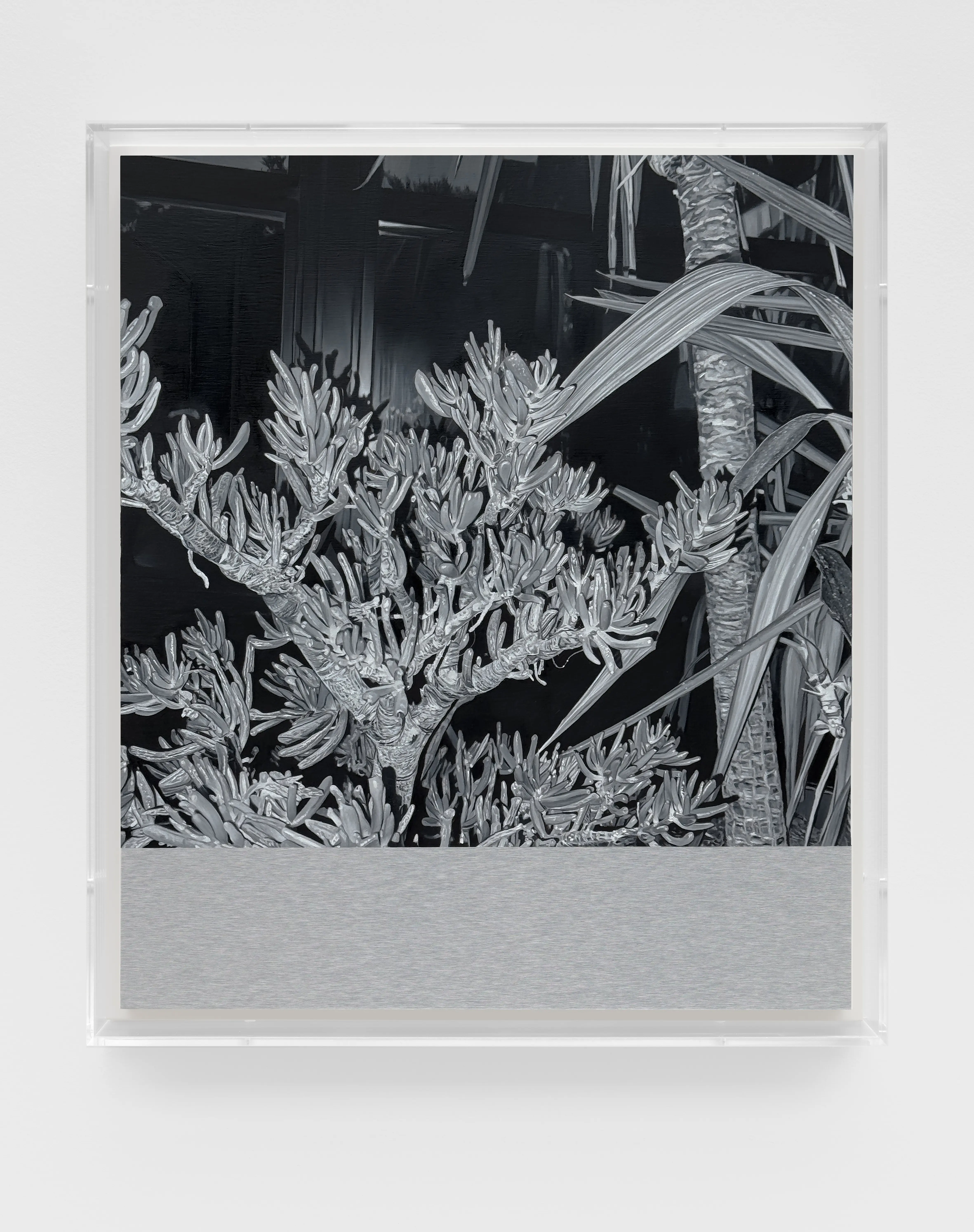 James White, H.P. 6, 2024